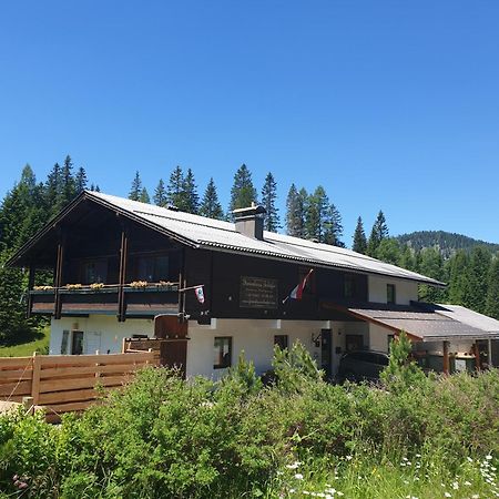 Ferienhaus Schaefer - Apartments - Wintersports - Family Holiday - Holiday With Your Dog - Rural & Scenic Flattnitz Exterior photo