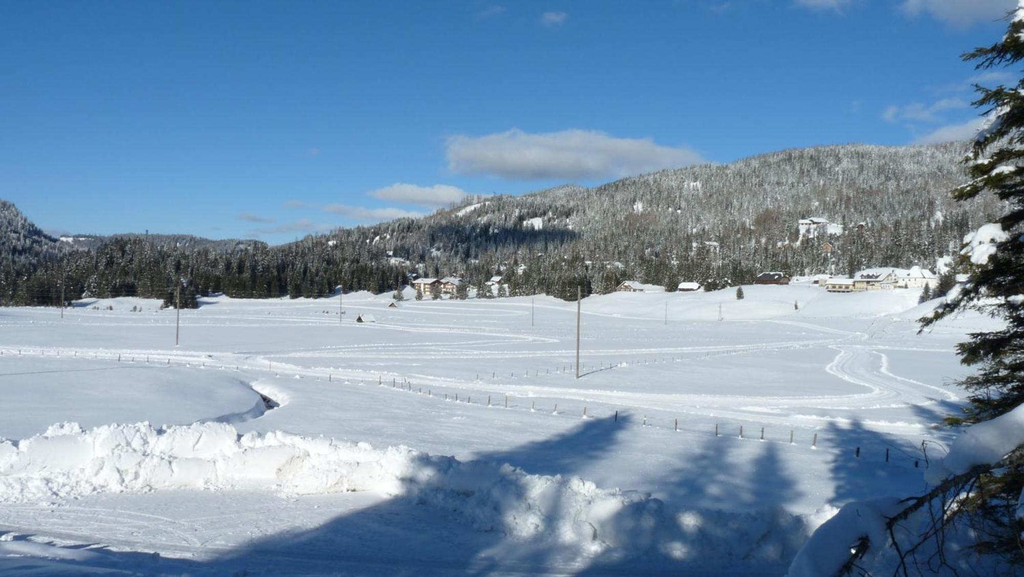 Ferienhaus Schaefer - Apartments - Wintersports - Family Holiday - Holiday With Your Dog - Rural & Scenic Flattnitz Exterior photo