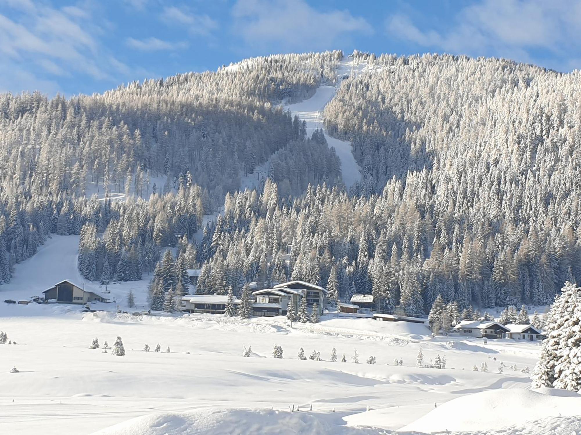 Ferienhaus Schaefer - Apartments - Wintersports - Family Holiday - Holiday With Your Dog - Rural & Scenic Flattnitz Exterior photo