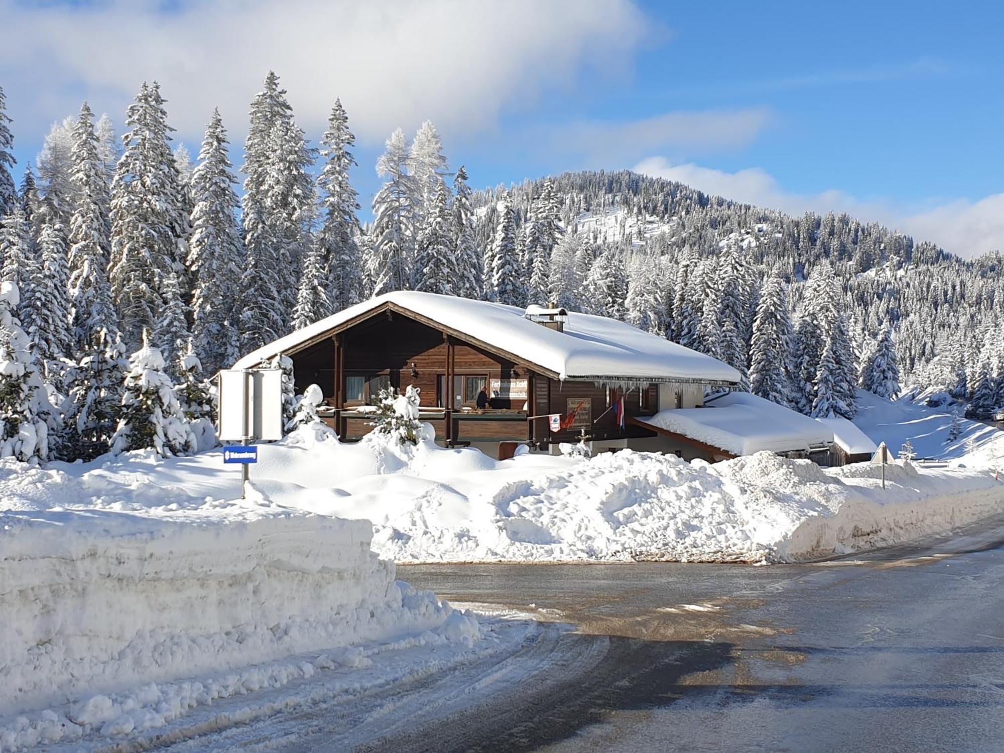 Ferienhaus Schaefer - Apartments - Wintersports - Family Holiday - Holiday With Your Dog - Rural & Scenic Flattnitz Exterior photo