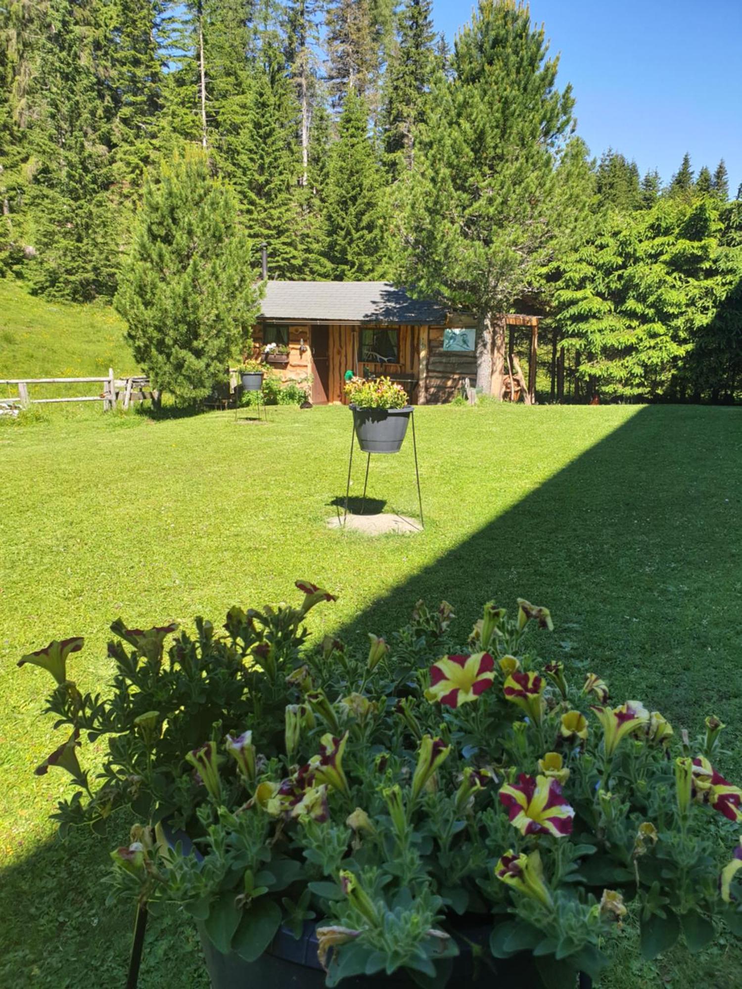 Ferienhaus Schaefer - Apartments - Wintersports - Family Holiday - Holiday With Your Dog - Rural & Scenic Flattnitz Exterior photo