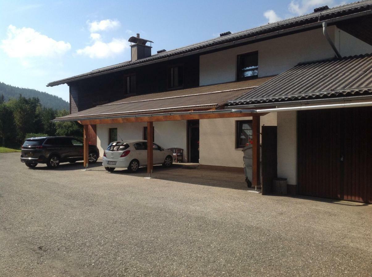Ferienhaus Schaefer - Apartments - Wintersports - Family Holiday - Holiday With Your Dog - Rural & Scenic Flattnitz Exterior photo