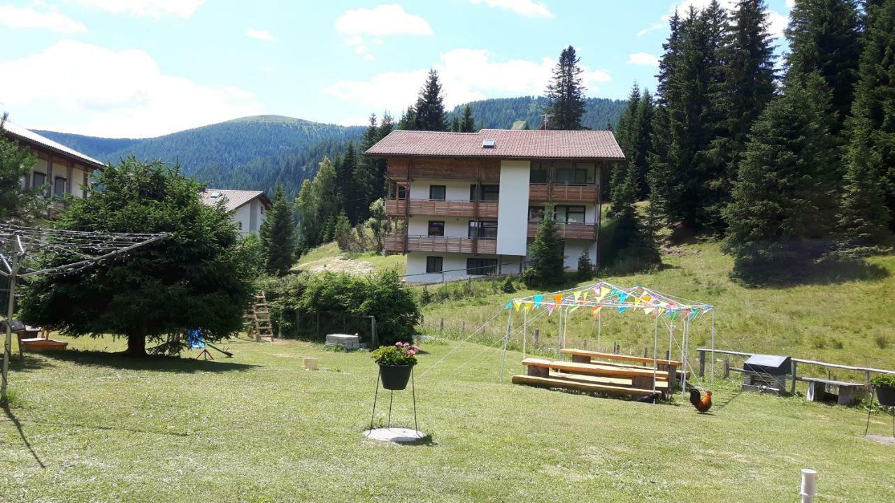Ferienhaus Schaefer - Apartments - Wintersports - Family Holiday - Holiday With Your Dog - Rural & Scenic Flattnitz Exterior photo